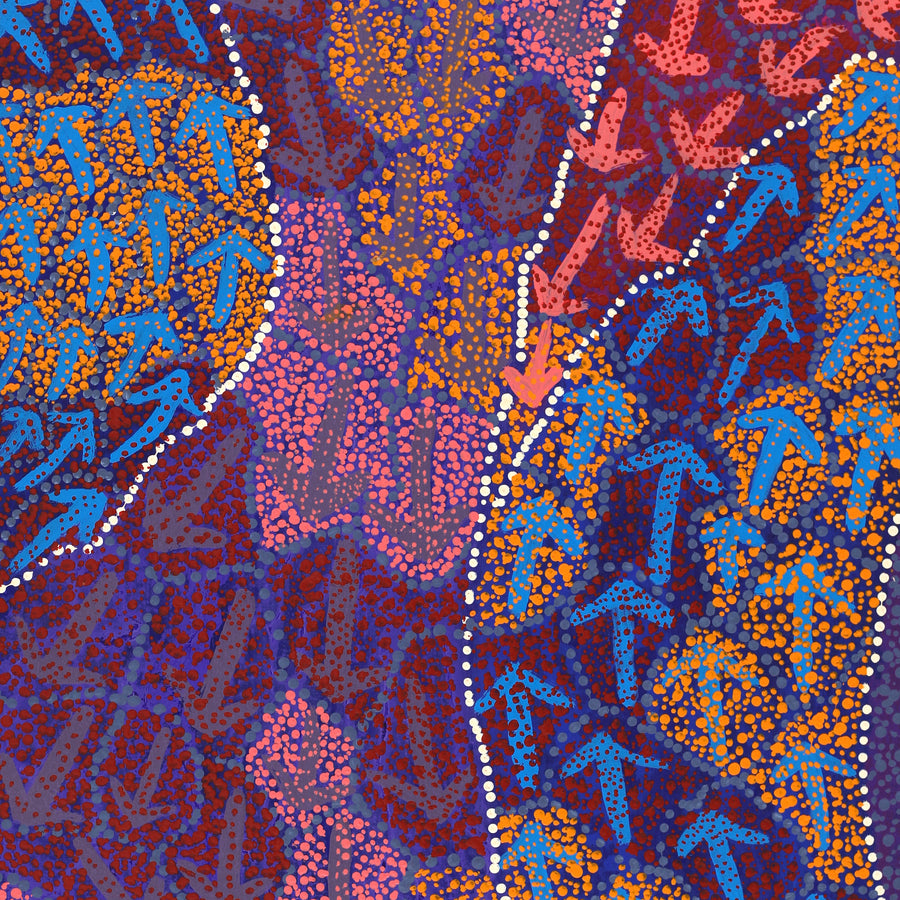 Aboriginal Artwork by Ricardo Jampijinpa Gallagher, Yankirri Jukurrpa (Emu Dreaming) - Ngarlikurlangu, 91x46cm