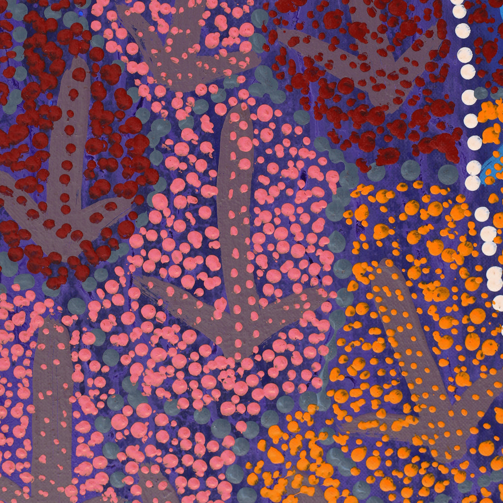 Aboriginal Artwork by Ricardo Jampijinpa Gallagher, Yankirri Jukurrpa (Emu Dreaming) - Ngarlikurlangu, 91x46cm