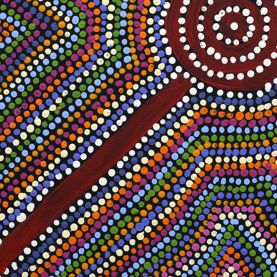Aboriginal Artwork by Richard Japanangka Frank, Lukarrara Jukurrpa, 40x40cm