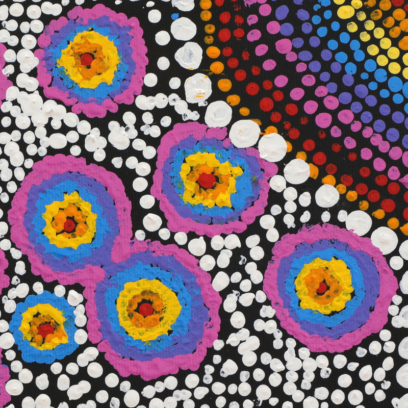 Aboriginal Artwork by Riona Nakamarra Wilson, Patterns of the Landscape around Yuendumu, 30x30cm
