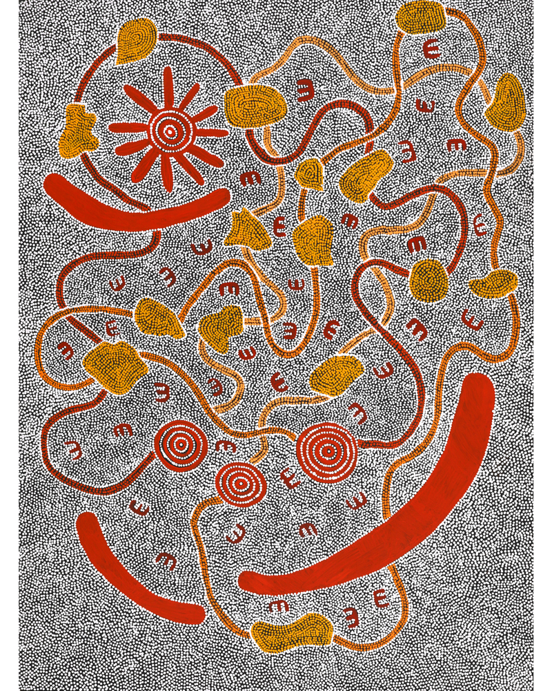 Aboriginal Artwork by Ritasha Nampijinpa Martin, Janganpa Jukurrpa (Brush-tail Possum Dreaming) - Mawurrji, 122x91cm