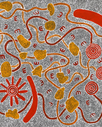 Aboriginal Artwork by Ritasha Nampijinpa Martin, Janganpa Jukurrpa (Brush-tail Possum Dreaming) - Mawurrji, 122x91cm