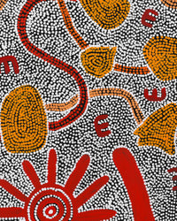 Aboriginal Artwork by Ritasha Nampijinpa Martin, Janganpa Jukurrpa (Brush-tail Possum Dreaming) - Mawurrji, 122x91cm