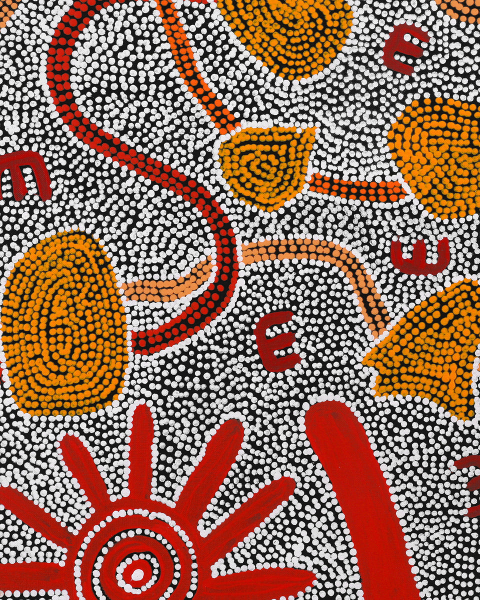 Aboriginal Artwork by Ritasha Nampijinpa Martin, Janganpa Jukurrpa (Brush-tail Possum Dreaming) - Mawurrji, 122x91cm