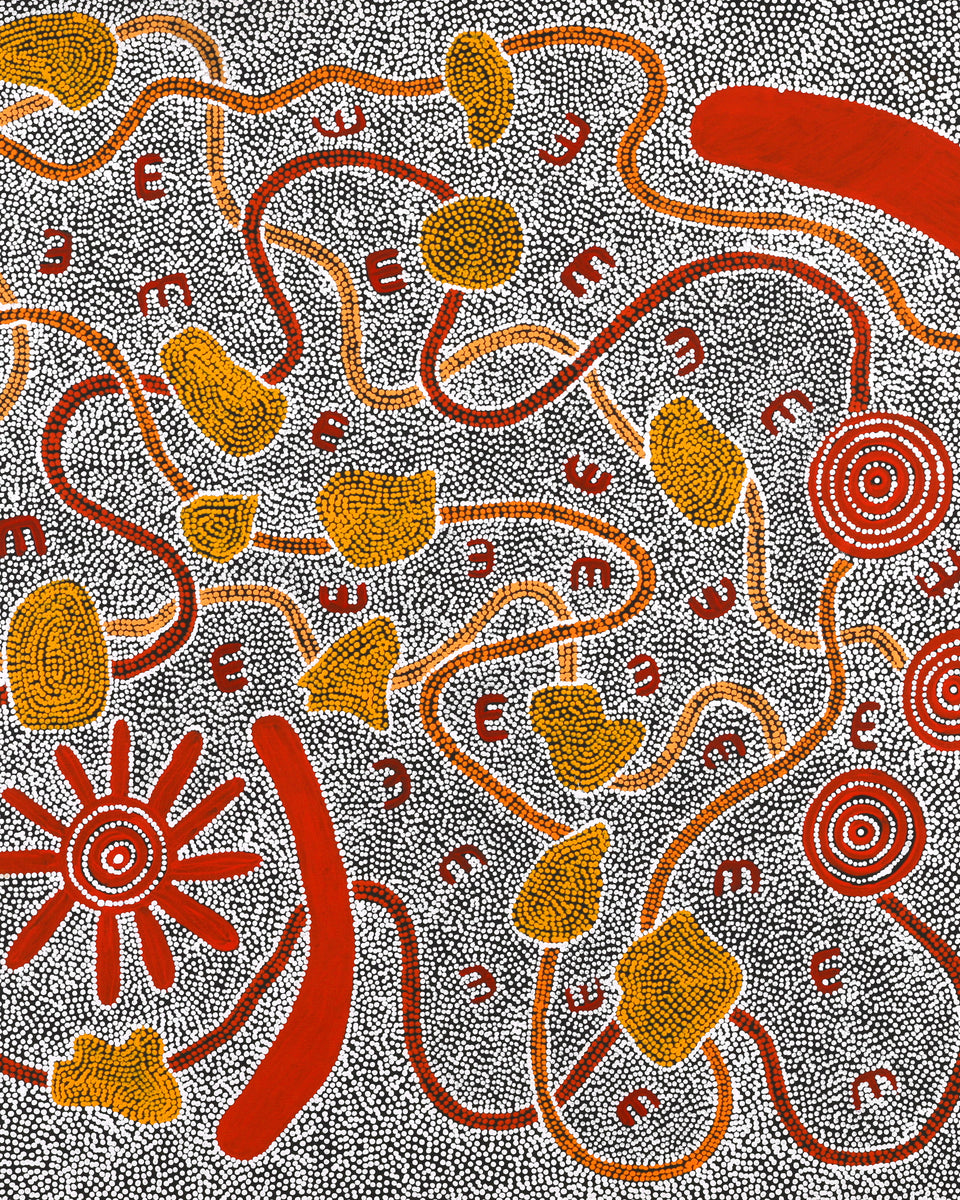 Aboriginal Artwork by Ritasha Nampijinpa Martin, Janganpa Jukurrpa (Brush-tail Possum Dreaming) - Mawurrji, 122x91cm