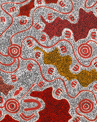 Aboriginal Artwork by Ritasha Nampijinpa Martin, Janganpa Jukurrpa (Brush-tail Possum Dreaming) - Mawurrji, 76x61cm