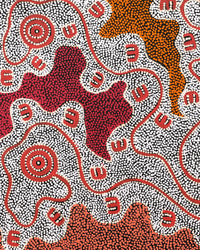 Aboriginal Artwork by Ritasha Nampijinpa Martin, Janganpa Jukurrpa (Brush-tail Possum Dreaming) - Mawurrji, 76x61cm