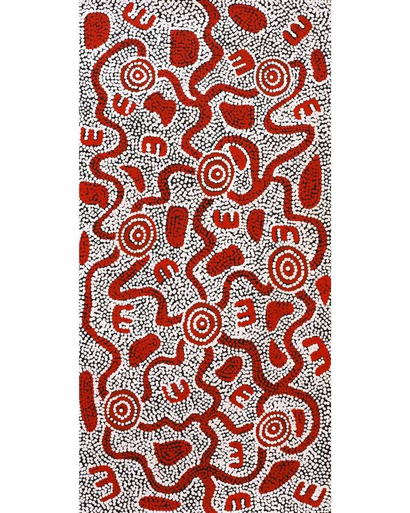 Aboriginal Artwork by Ritasha Nampijinpa Martin, Janganpa Jukurrpa (Brush-tail Possum Dreaming) - Mawurrji, 61x30cm