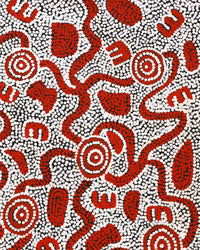Aboriginal Artwork by Ritasha Nampijinpa Martin, Janganpa Jukurrpa (Brush-tail Possum Dreaming) - Mawurrji, 61x30cm