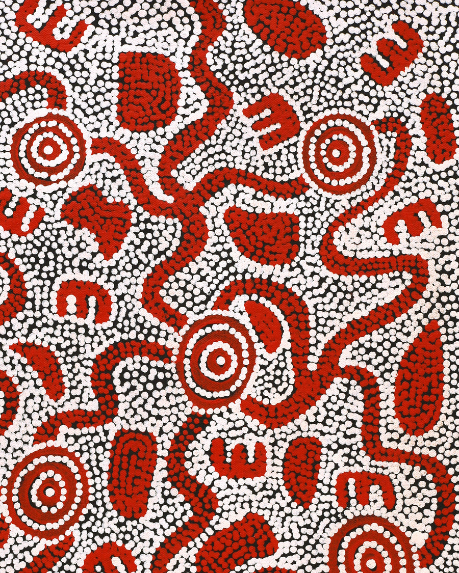 Aboriginal Artwork by Ritasha Nampijinpa Martin, Janganpa Jukurrpa (Brush-tail Possum Dreaming) - Mawurrji, 61x30cm