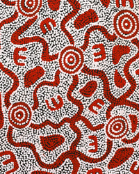 Aboriginal Artwork by Ritasha Nampijinpa Martin, Janganpa Jukurrpa (Brush-tail Possum Dreaming) - Mawurrji, 61x30cm