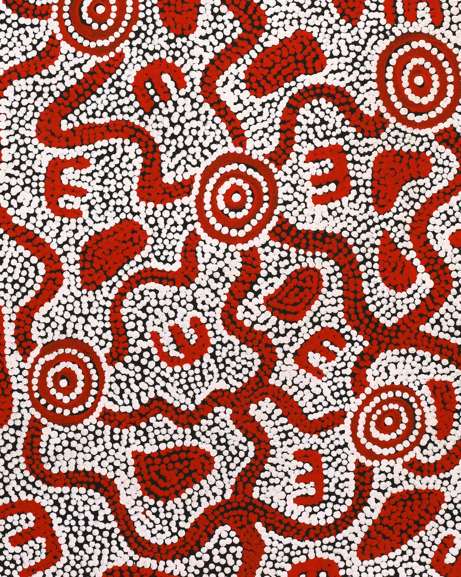 Aboriginal Artwork by Ritasha Nampijinpa Martin, Janganpa Jukurrpa (Brush-tail Possum Dreaming) - Mawurrji, 61x30cm