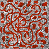 Aboriginal Artwork by Ritasha Nampijinpa Martin, Janganpa Jukurrpa (Brush-tail Possum Dreaming) - Mawurrji, 61x61cm
