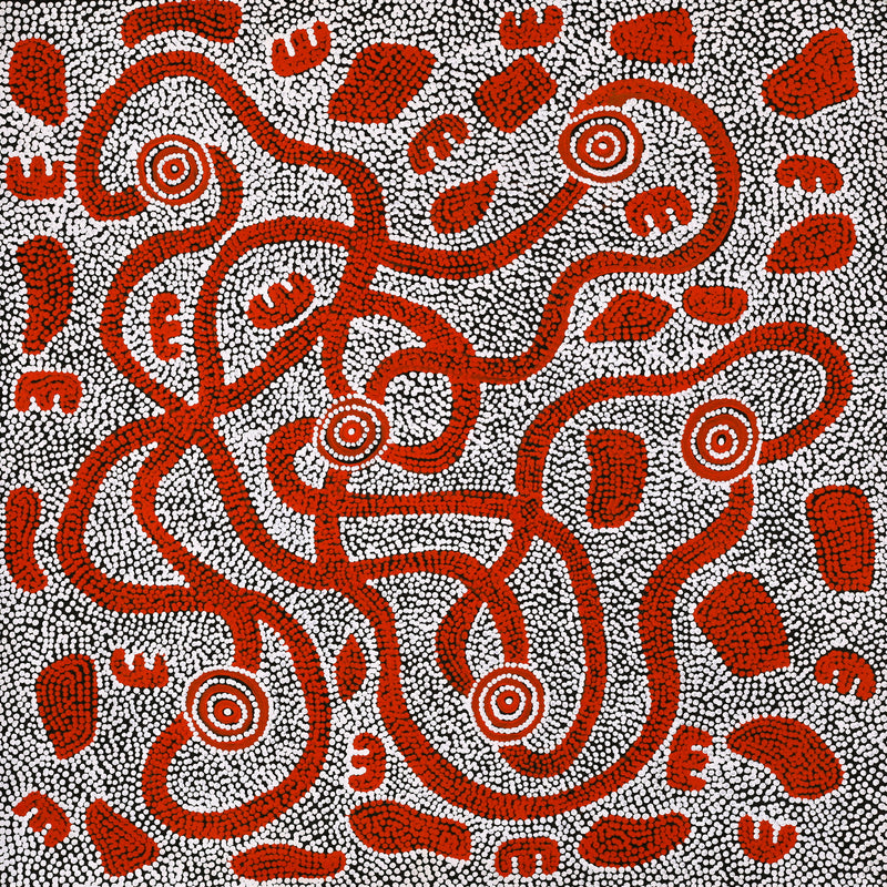 Aboriginal Artwork by Ritasha Nampijinpa Martin, Janganpa Jukurrpa (Brush-tail Possum Dreaming) - Mawurrji, 61x61cm