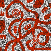 Aboriginal Artwork by Ritasha Nampijinpa Martin, Janganpa Jukurrpa (Brush-tail Possum Dreaming) - Mawurrji, 61x61cm
