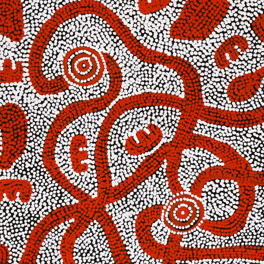 Aboriginal Artwork by Ritasha Nampijinpa Martin, Janganpa Jukurrpa (Brush-tail Possum Dreaming) - Mawurrji, 61x61cm