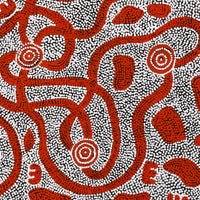 Aboriginal Artwork by Ritasha Nampijinpa Martin, Janganpa Jukurrpa (Brush-tail Possum Dreaming) - Mawurrji, 61x61cm