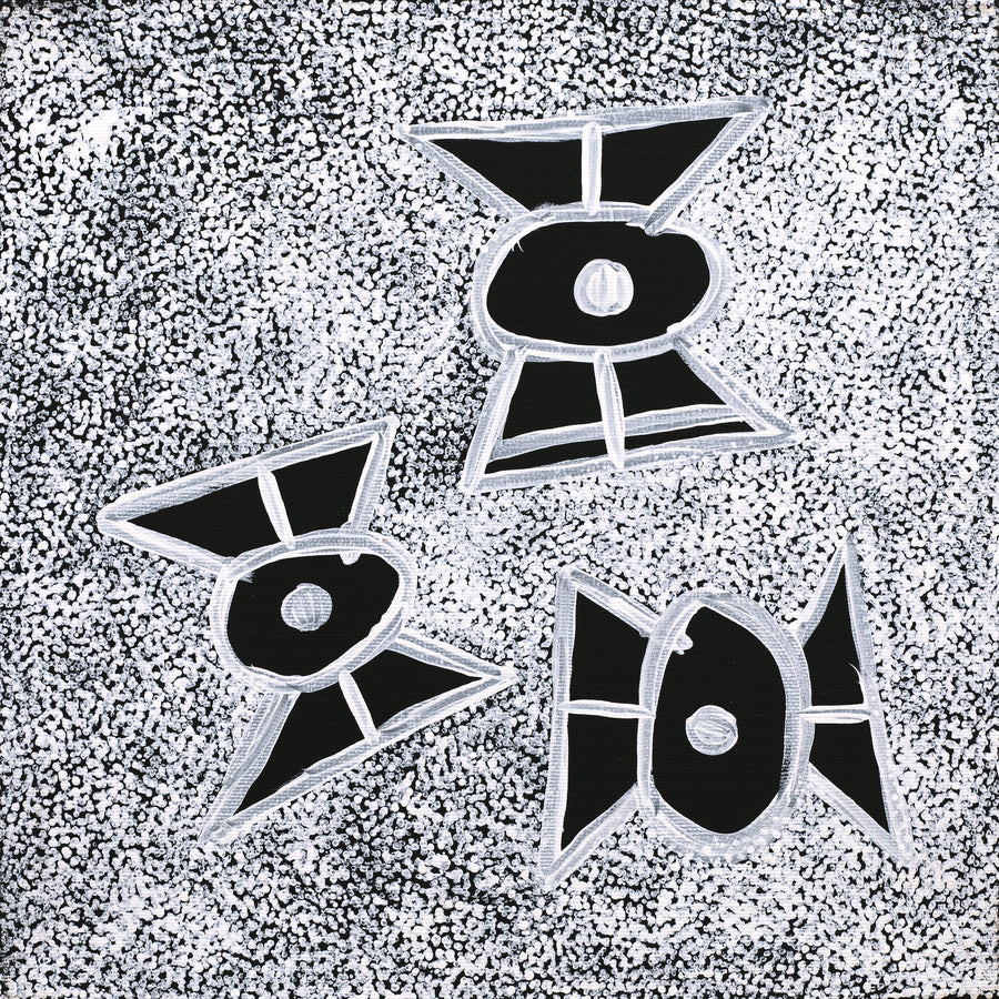 Aboriginal Artwork by Roseanne Napangardi Wheeler, Patterns of the Landscape around Yuendumu, 30x30cm