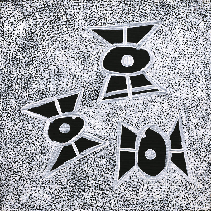 Aboriginal Artwork by Roseanne Napangardi Wheeler, Patterns of the Landscape around Yuendumu, 30x30cm