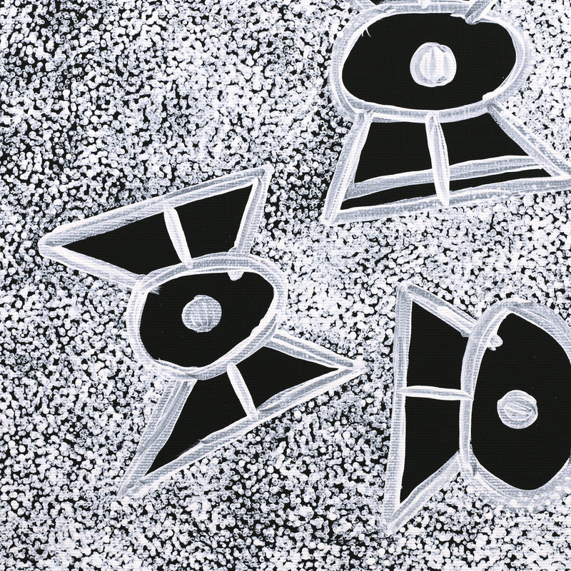 Aboriginal Artwork by Roseanne Napangardi Wheeler, Patterns of the Landscape around Yuendumu, 30x30cm