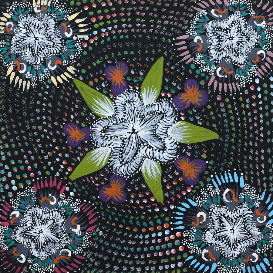 Aboriginal Artwork by Runa Napangardi Williams, Ngurlu Jukurrpa (Native Seed Dreaming), 40x40cm