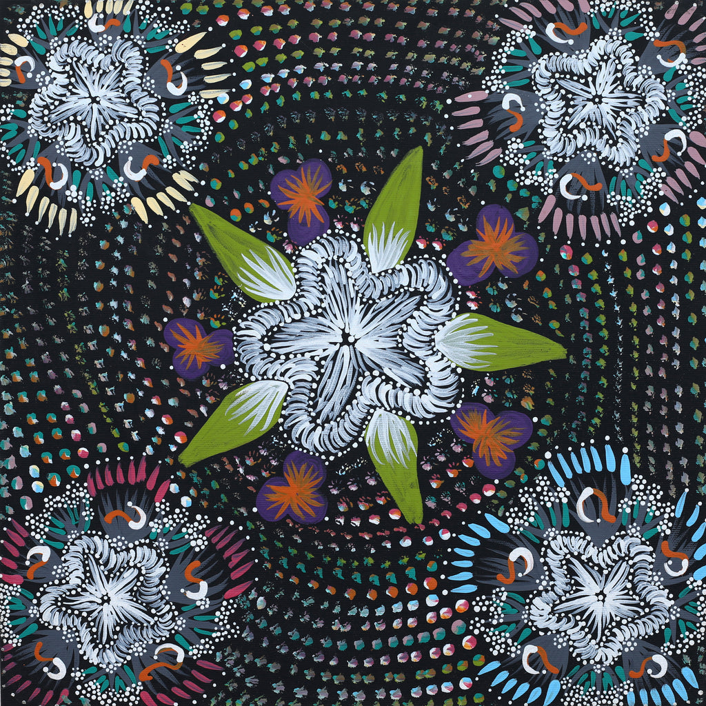 Aboriginal Art by Runa Napangardi Williams, Ngurlu Jukurrpa (Native Seed Dreaming), 40x40cm - ART ARK®