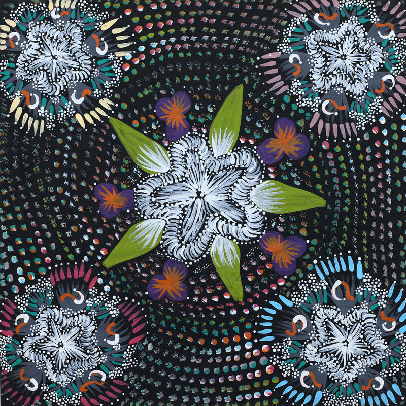 Aboriginal Artwork by Runa Napangardi Williams, Ngurlu Jukurrpa (Native Seed Dreaming), 40x40cm
