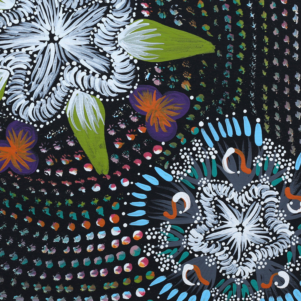 Aboriginal Artwork by Runa Napangardi Williams, Ngurlu Jukurrpa (Native Seed Dreaming), 40x40cm