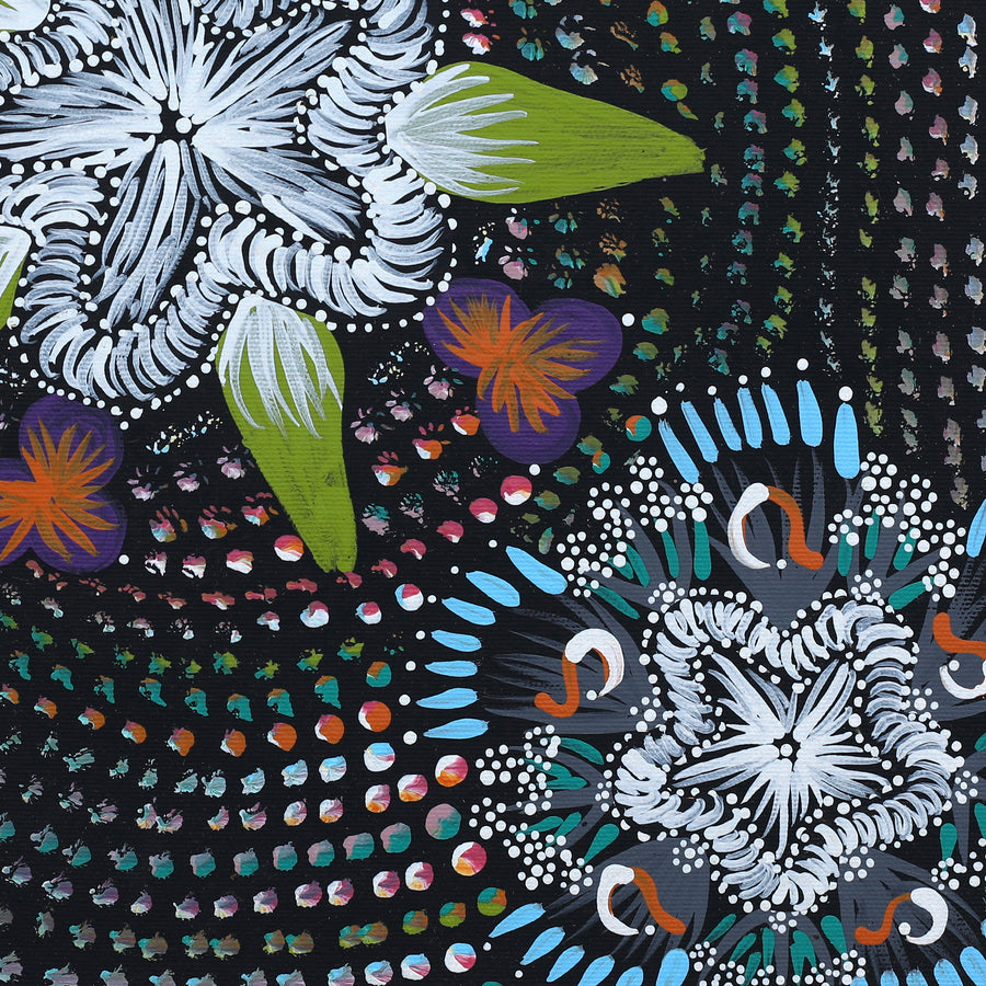 Aboriginal Artwork by Runa Napangardi Williams, Ngurlu Jukurrpa (Native Seed Dreaming), 40x40cm