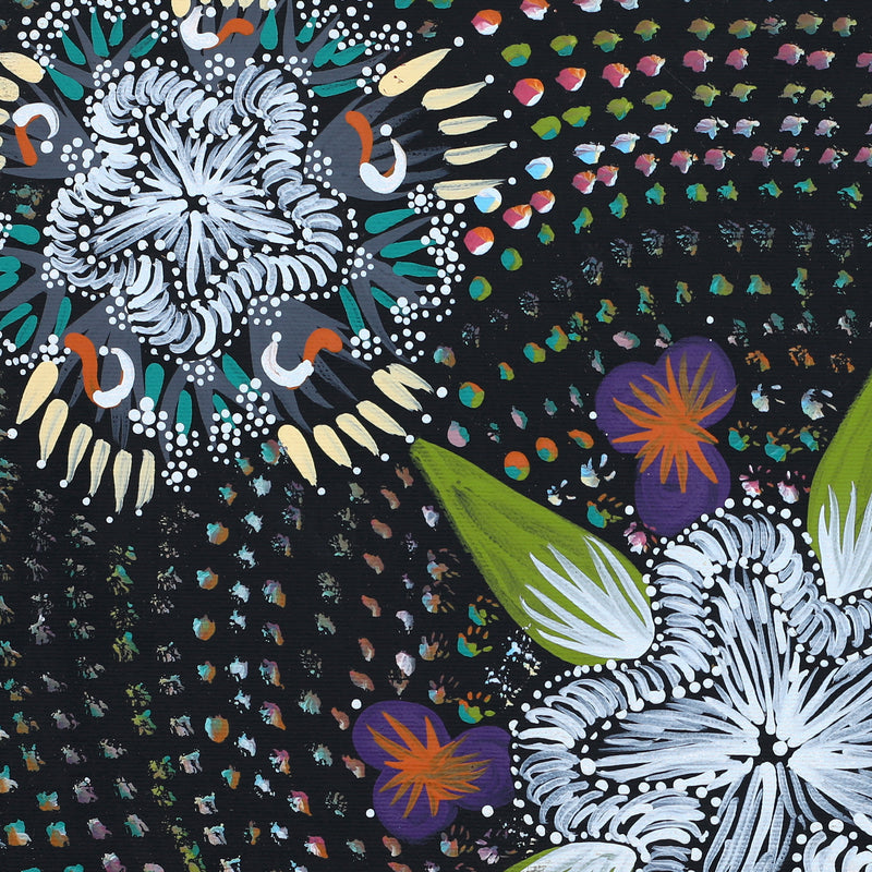 Aboriginal Artwork by Runa Napangardi Williams, Ngurlu Jukurrpa (Native Seed Dreaming), 40x40cm