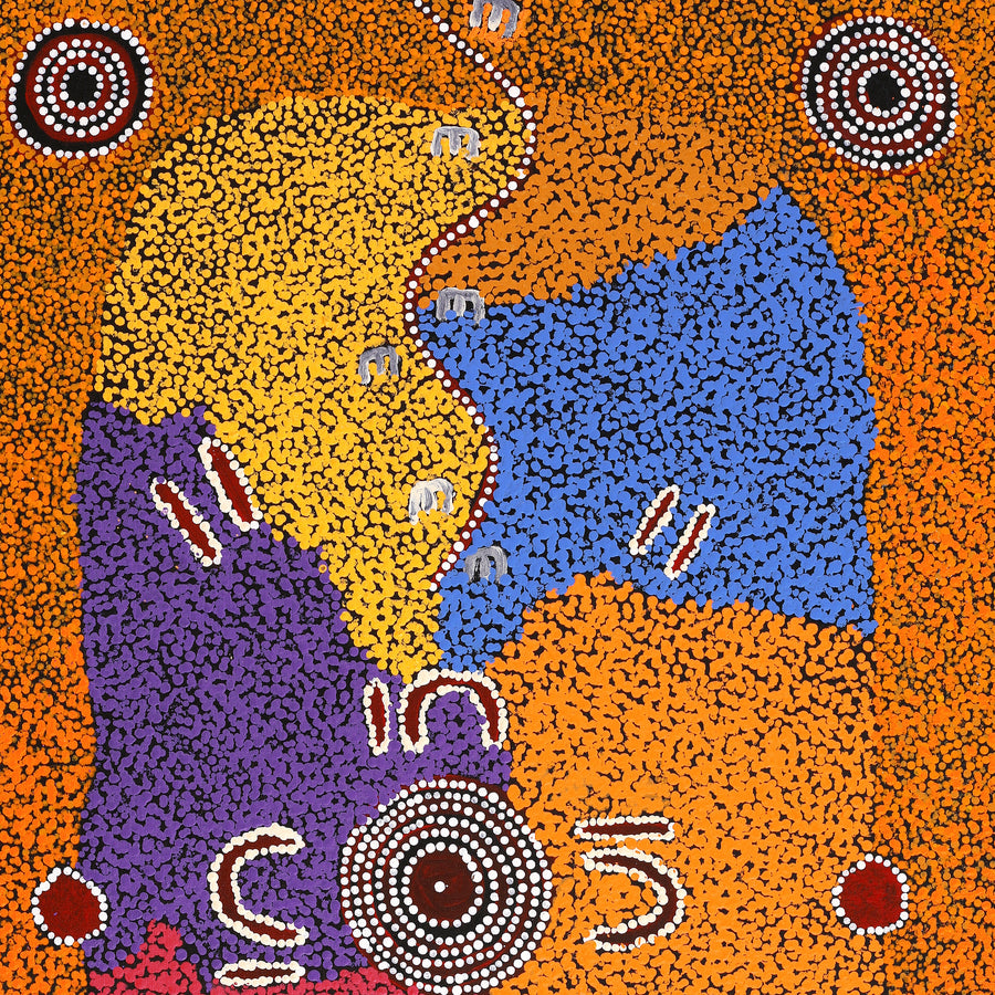 Aboriginal Artwork by Ruth Nungarrayi Spencer, Wardapi Jukurrpa (Goanna Dreaming) - Yarripilangu, 107x61cm