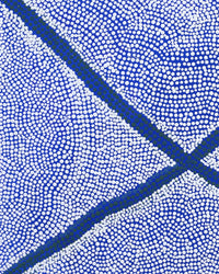 Aboriginal Artwork by Ruth Wayne, Ngayuku Ngura, 61x44cm