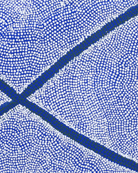 Aboriginal Artwork by Ruth Wayne, Ngayuku Ngura, 61x44cm