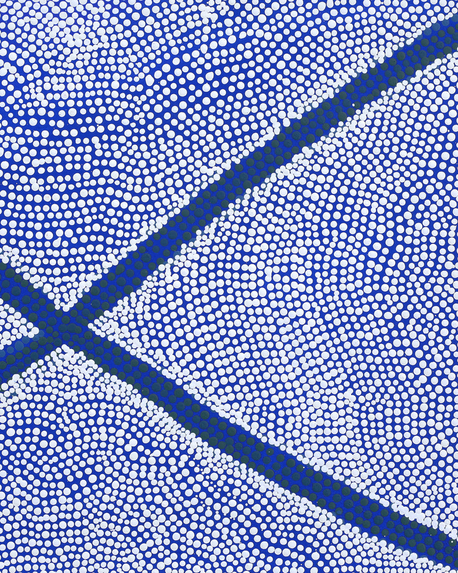 Aboriginal Artwork by Ruth Wayne, Ngayuku Ngura, 61x44cm