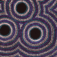 Aboriginal Artwork by Ruth Wayne, Walka, 61x46cm