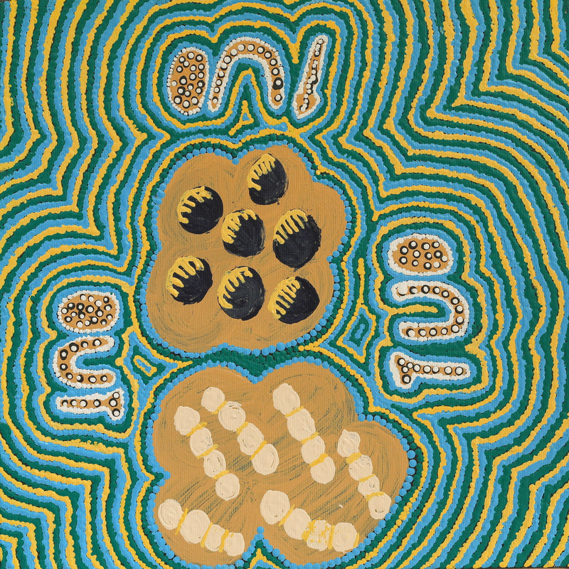 Aboriginal Artwork by Ryan Japangardi Woods, Puturlu Jukurrpa (Mt Theo Dreaming), 30x30cm