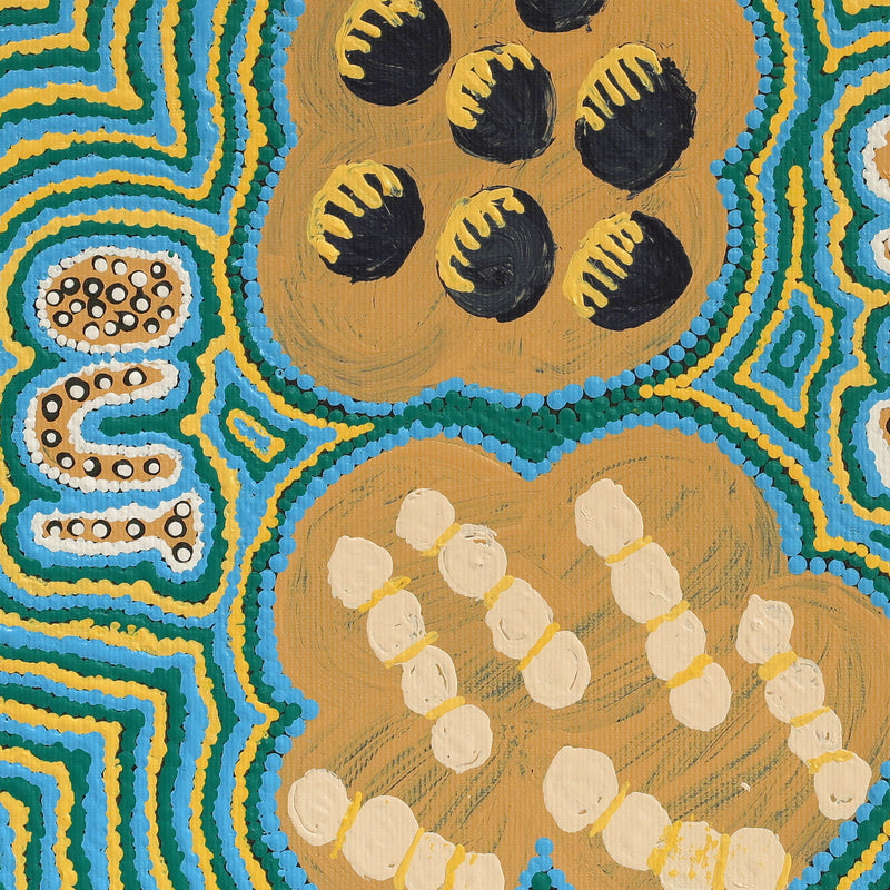 Aboriginal Artwork by Ryan Japangardi Woods, Puturlu Jukurrpa (Mt Theo Dreaming), 30x30cm