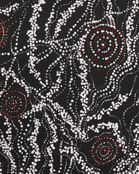 Aboriginal Artwork by Sabrina Napangardi Granites, Napaljarri-warnu Jukurrpa (Seven Sisters Dreaming), 76x46cm