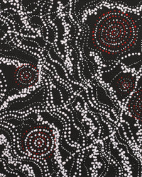Aboriginal Artwork by Sabrina Napangardi Granites, Napaljarri-warnu Jukurrpa (Seven Sisters Dreaming), 76x46cm
