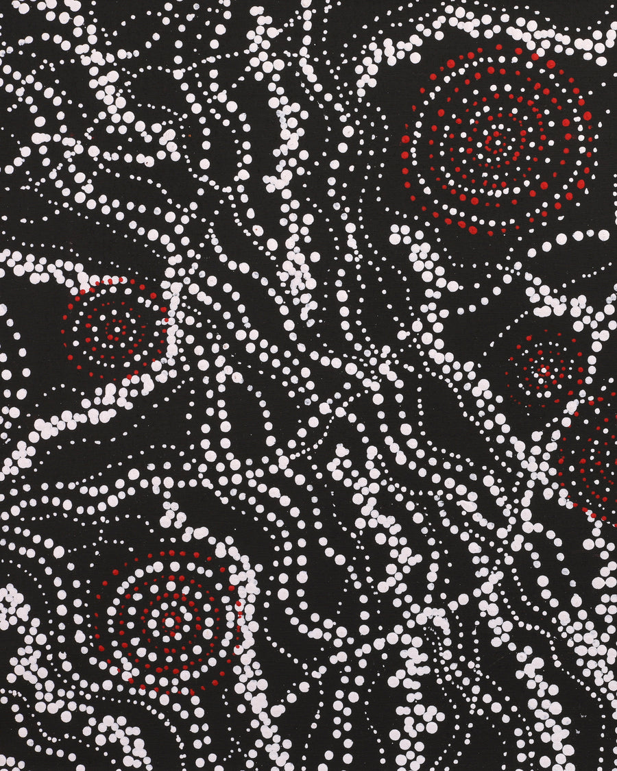 Aboriginal Artwork by Sabrina Napangardi Granites, Napaljarri-warnu Jukurrpa (Seven Sisters Dreaming), 76x46cm