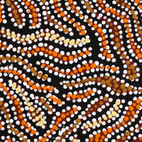 Aboriginal Artwork by Sabrina Napangardi Granites, Mina Mina Jukurrpa, 76x61cm