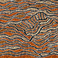 Aboriginal Art by Sabrina Napangardi Granites, Mina Mina Jukurrpa, 76x61cm - ART ARK®