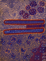 Aboriginal Art by Samuel Jampijinpa Collins, Ngapa Jukurrpa (Water Dreaming) - Puyurru, 61x46cm - ART ARK®