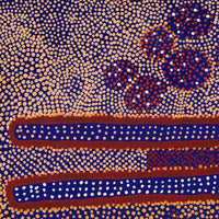 Aboriginal Artwork by Samuel Jampijinpa Collins, Ngapa Jukurrpa (Water Dreaming) - Puyurru, 61x46cm
