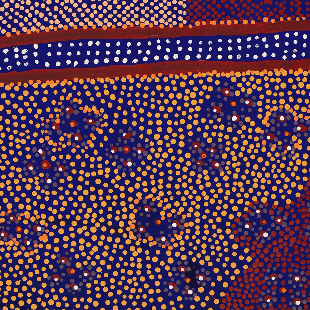 Aboriginal Art by Samuel Jampijinpa Collins, Ngapa Jukurrpa (Water Dreaming) - Puyurru, 61x46cm - ART ARK®