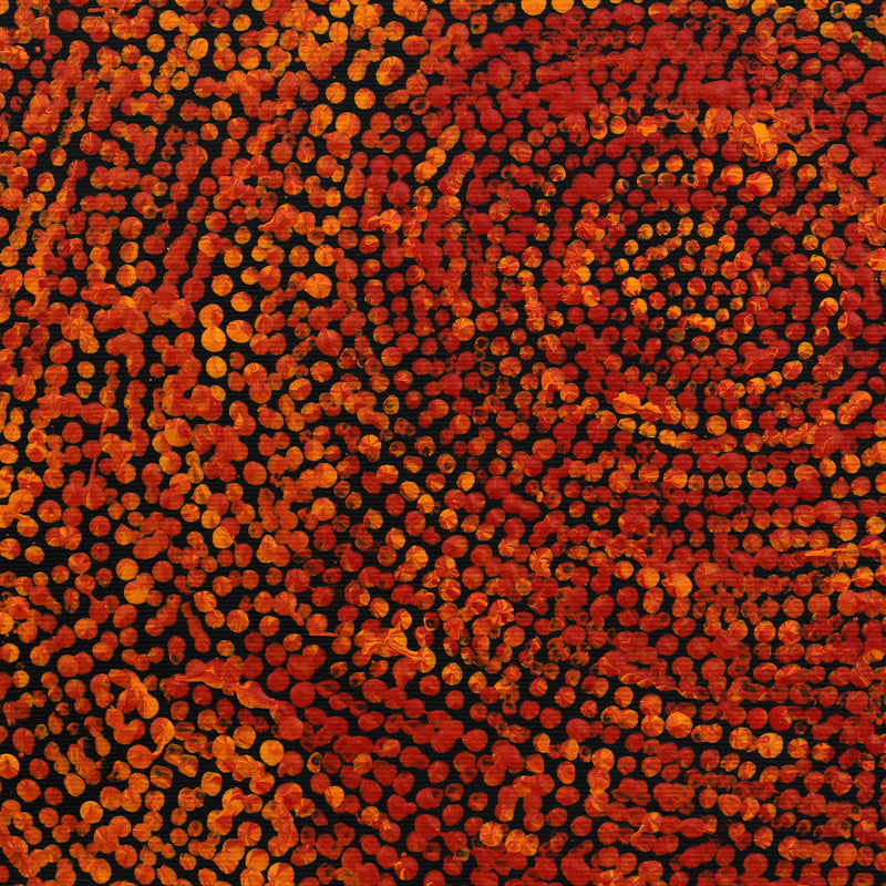 Aboriginal Artwork by Sarah Napurrurla Leo, Ngapa Jukurrpa (Water Dreaming) - Puyurru, 30x30cm