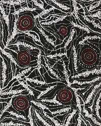 Aboriginal Artwork by Sabrina Napangardi Granites, Mina Mina Jukurrpa, 76x61cm
