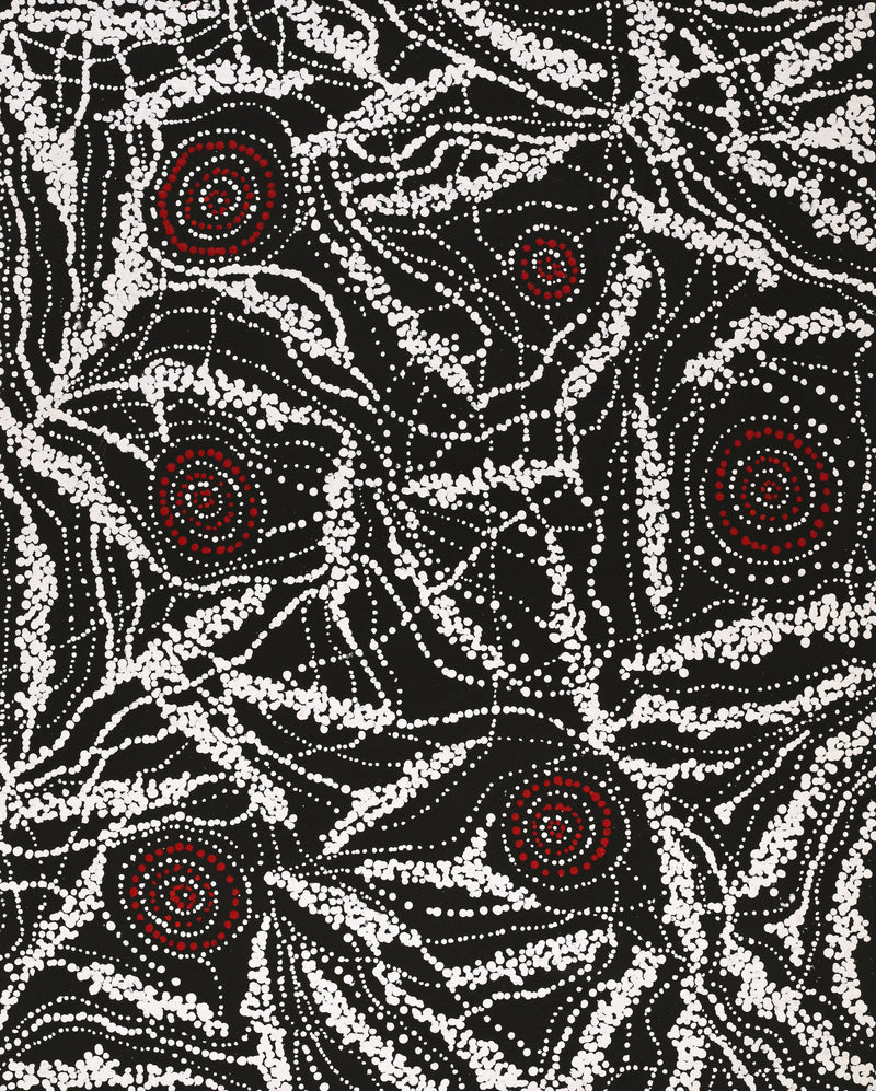 Aboriginal Art by Sabrina Napangardi Granites, Mina Mina Jukurrpa, 76x61cm - ART ARK®