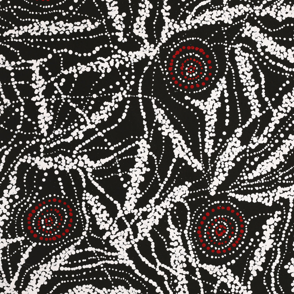 Aboriginal Artwork by Sabrina Napangardi Granites, Mina Mina Jukurrpa, 76x61cm