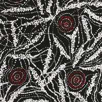 Aboriginal Artwork by Sabrina Napangardi Granites, Mina Mina Jukurrpa, 76x61cm